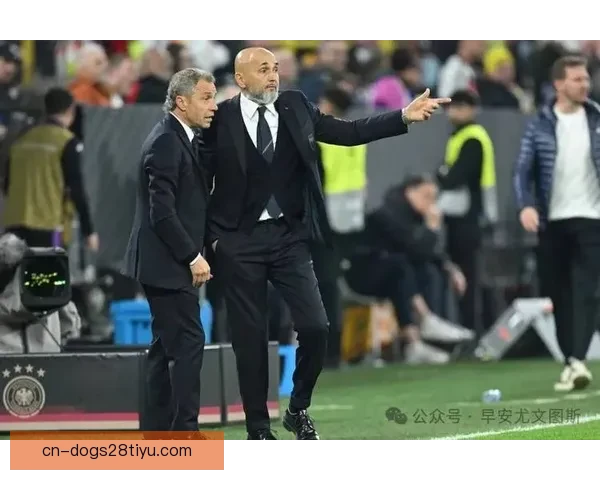 狗剩赞斯帕莱蒂伊尔迪兹最强